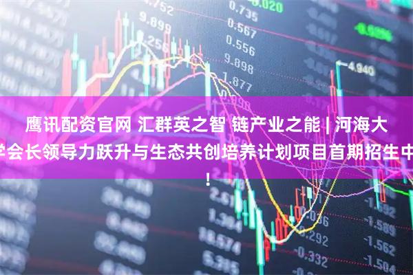 鹰讯配资官网 汇群英之智 链产业之能 | 河海大学会长领导力跃升与生态共创培养计划项目首期招生中！